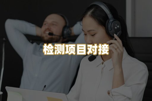 检测项目对接